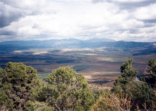 Click for large image