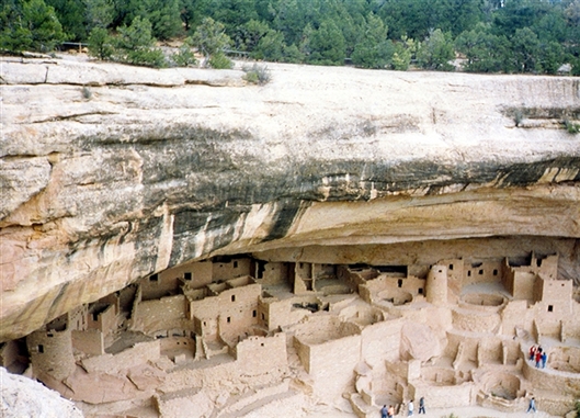 Click for large image