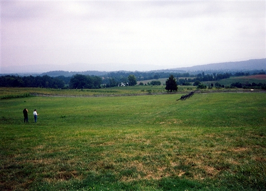 Click for large image