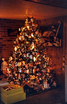 Click for large image