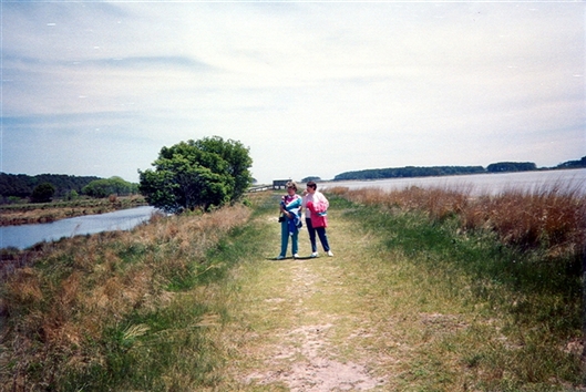 Click for large image