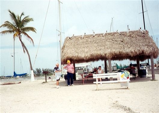 Click for large image