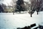 1994-0339-01.jpg