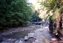 1994-0515-01.jpg