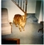 1994-0631-01.jpg