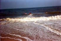 Click for large image