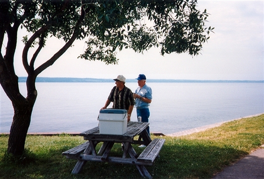 Click for large image