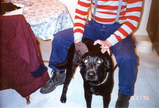 Click for large image