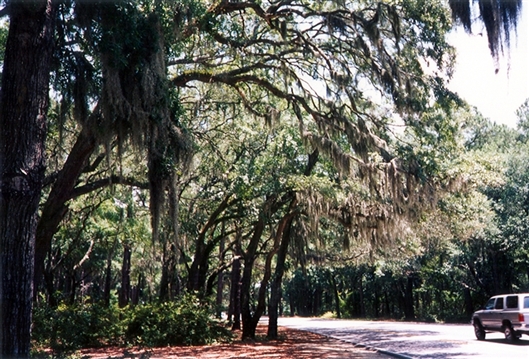 Click for large image