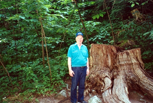 Click for large image