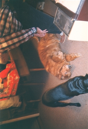 Click for large image