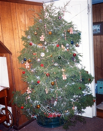 Click for large image