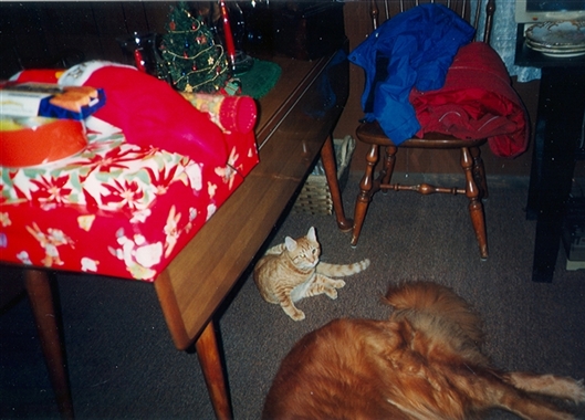 Click for large image