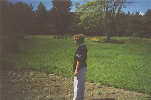 Click for large image