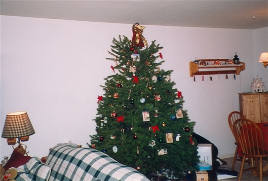 Click for large image