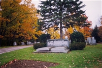 Click for large image