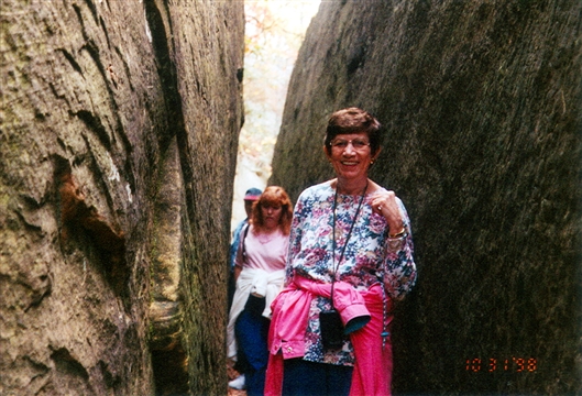 Click for large image