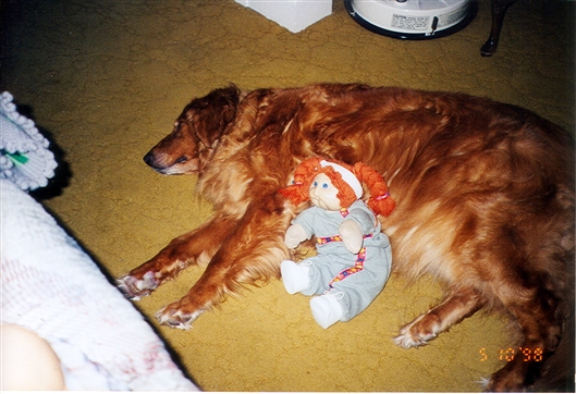 Click for large image