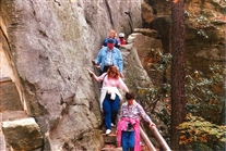 Click for large image