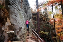 Click for large image