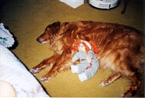 Click for large image