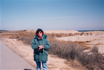 Click for large image