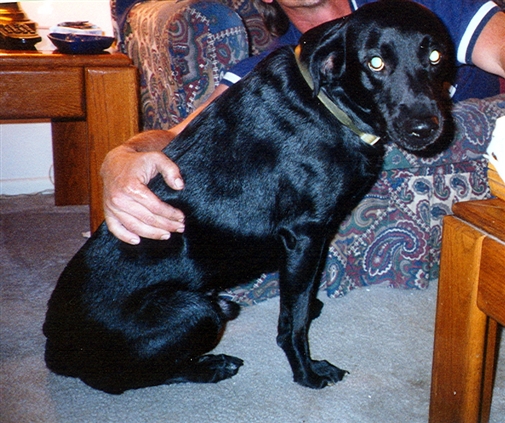 Click for large image