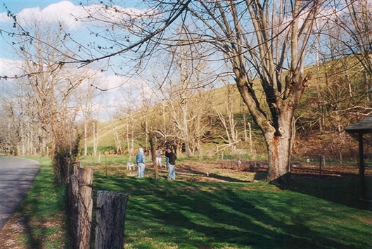 Click for large image