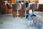 2000-0112-01.jpg
