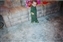 2000-0188-01.jpg