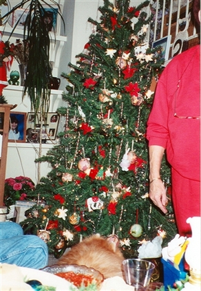 Click for large image