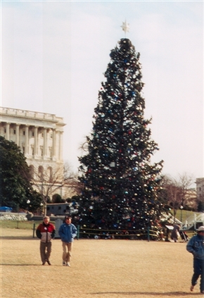 Click for large image