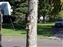 2000-SquirreLink-0005.JPG