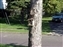 2000-SquirreLink-0006.JPG