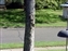 2000-SquirreLink-0008.JPG