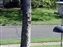 2000-SquirreLink-0009.JPG