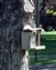 2000-SquirreLink-0011.jpg