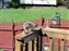 2000-SquirreLink-0015.JPG