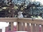2000-SquirreLink-0021.JPG