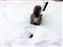 2000-SquirreLink-0022.JPG