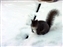 2000-SquirreLink-0023.JPG