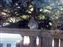 2000-SquirreLink-0024.JPG