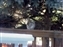 2000-SquirreLink-0026.JPG