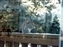 2000-SquirreLink-0028.JPG