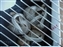 2001-BabySquirrels-0001.JPG