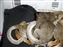 2001-BabySquirrels-0003.JPG