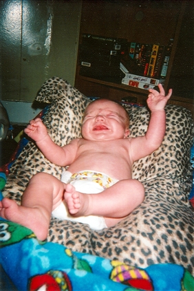 Click for large image