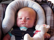 Click for large image