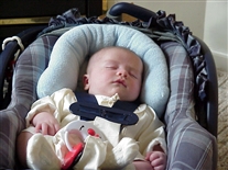 Click for large image