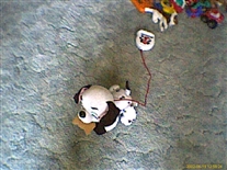 Click for large image